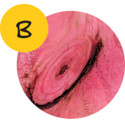 B 1.png B 1.png