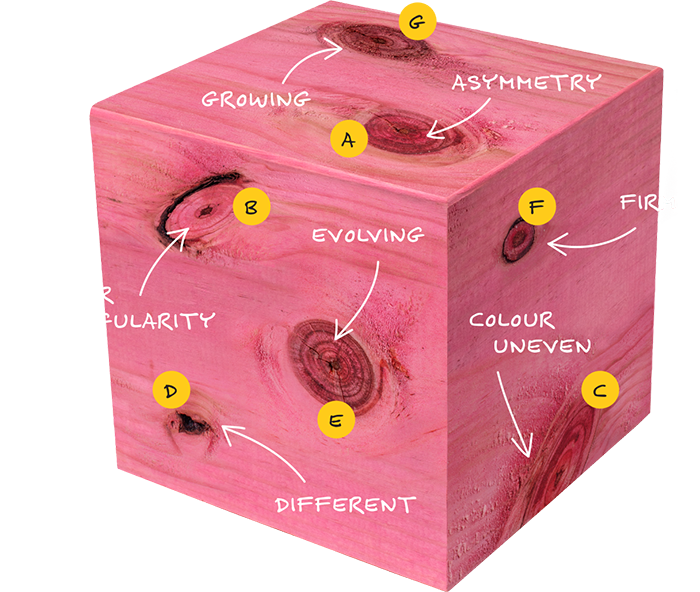 Block-NoShadow 1-new2.png Block-NoShadow 1-new2.png